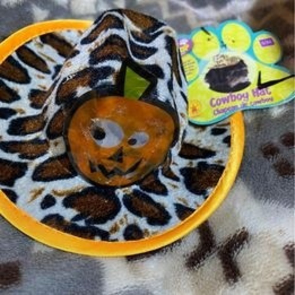 NWT Rubie’s Pet Shop Cowboy Hat
